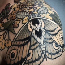 Neotraditional Tattoo, Motte Tattoo, Moth Tattoo, Nouveau Tattoo, Tattoo Artist Berlin, Tätowierer Berlin